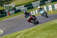 cadwell-no-limits-trackday;cadwell-park;cadwell-park-photographs;cadwell-trackday-photographs;enduro-digital-images;event-digital-images;eventdigitalimages;no-limits-trackdays;peter-wileman-photography;racing-digital-images;trackday-digital-images;trackday-photos